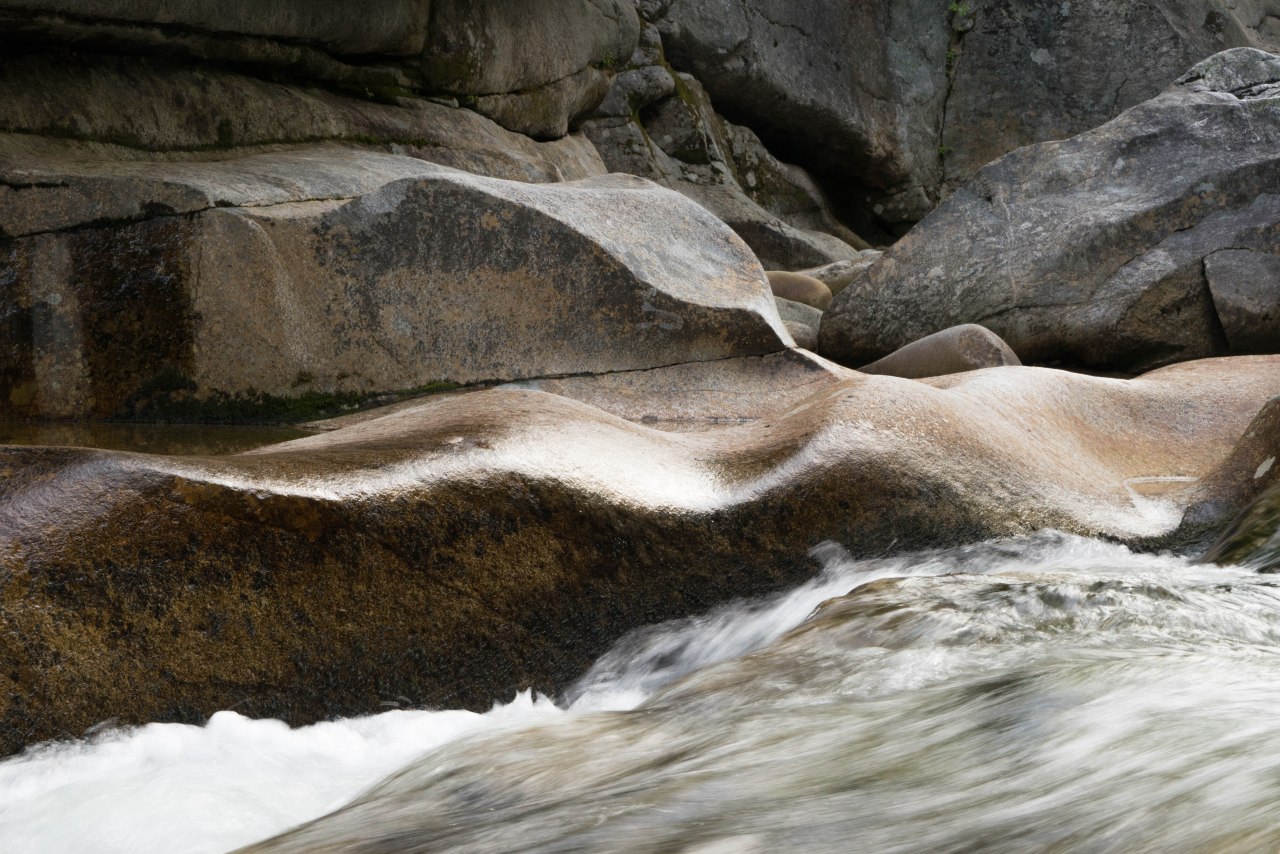 week 25 - curve (1 of 1)