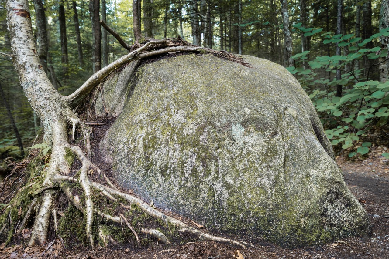 week 26 - partners (1 of 1)