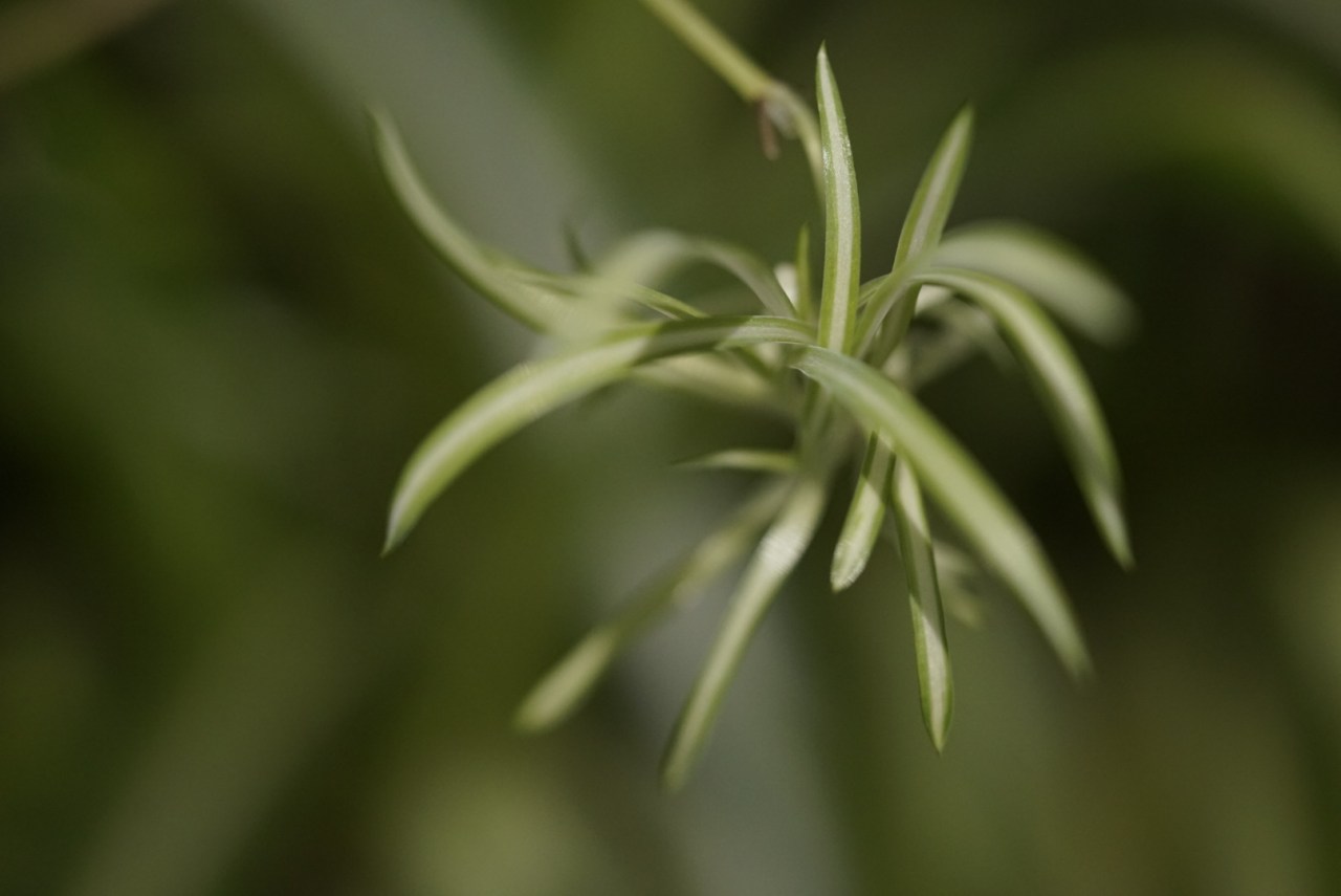 30 Days , 30 Photos in/or around my&nbsp;house