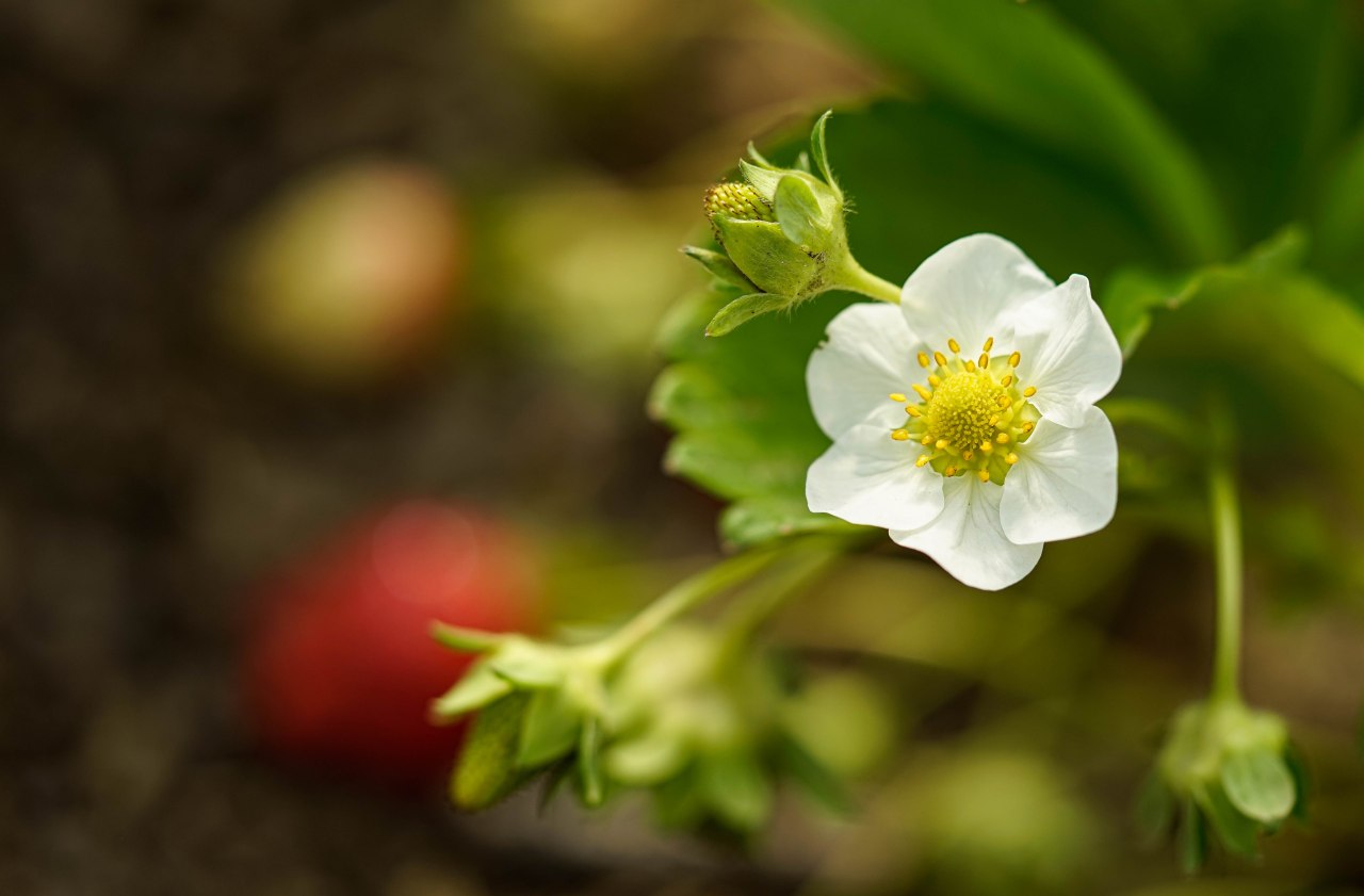 31 Miles in the Merry Month of&nbsp;May